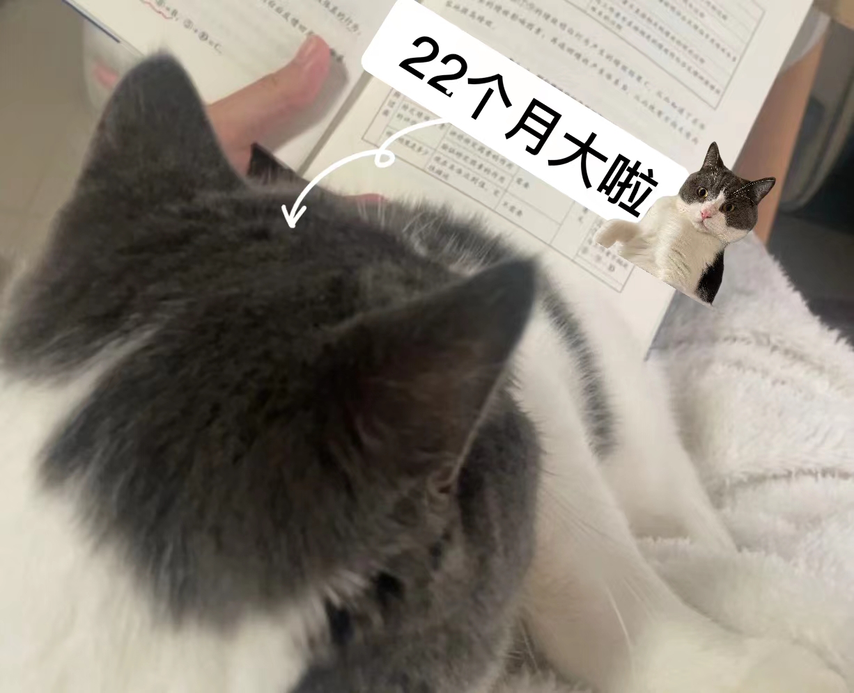 我與“22”個月大的貓貓看書.jpg